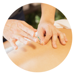 Traditional Chinese Medicine